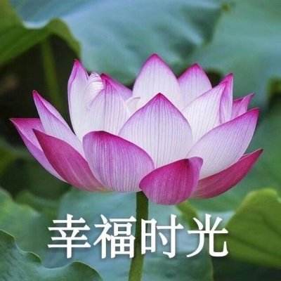 《寻找王阳明》读者分享会在北京举行