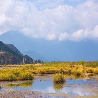 广西灵山：古村童年