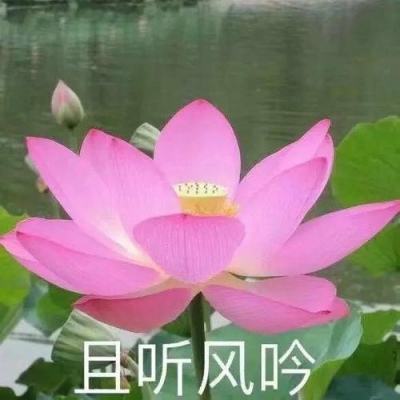 直播预告：关爱口腔健康 要从小做起