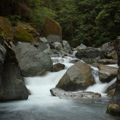 用法治力量守护绿水青山，全国人大常委会今年有哪些安排？