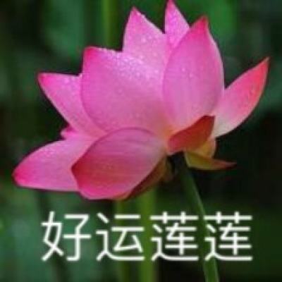 人民网三评“研学游”之一：缺“研”少“学”有点乱